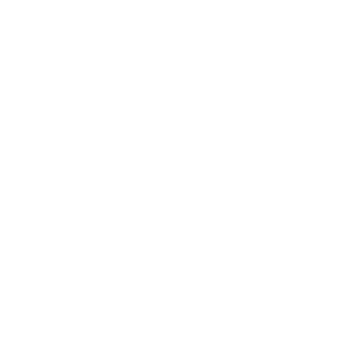 white domain icon